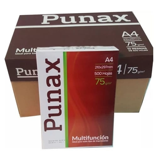 BULTO HOJAS A4 PUNAX X500HJS X10U