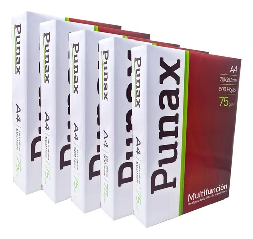 BULTO HOJAS A4 PUNAX X500HJS X10U