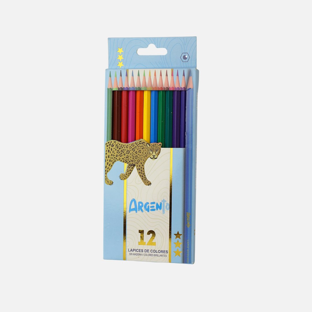 BULTO LAPICES DE COLOR ARGENTO X12 X240 ESTUCHE