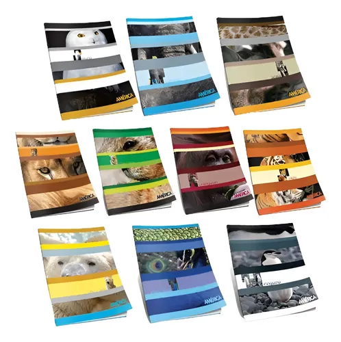 PACK CUADERNO AMERICA TAPA FLEX X86 HJS X10U