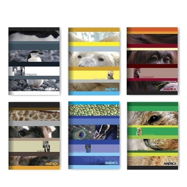 CUADERNO AMERICA T/FLEXIBLE X24 HJS RAYADA