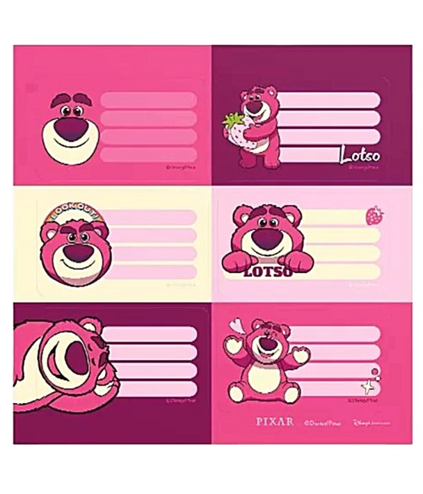 ETIQUETA MOOVING X12 UND LOTSO