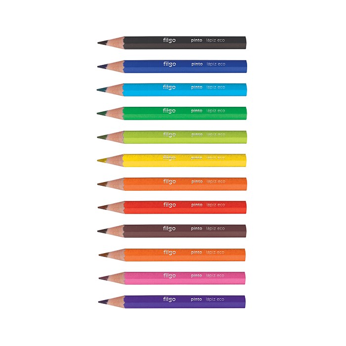 LAPICES DE COLOR CORTO FILGO X12 PACK X24 ESTUCHES