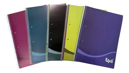 CUAD. POTOSI C/ESPIRAL 16X21 X84 HJS RAYADA