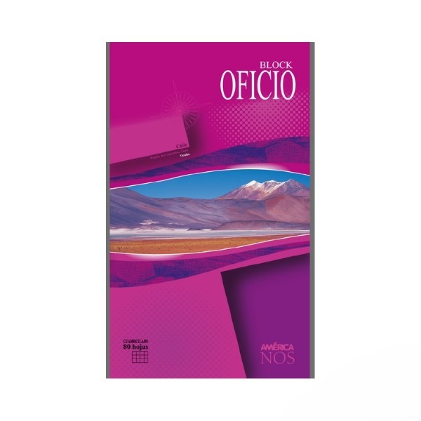BLOCK OFICIO AMERICA X80 HJS CUADRICULADO PACK X10 UND