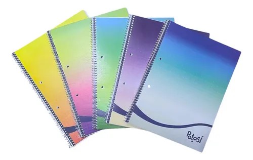 CUADERNO POTOSI DEGRADE UNIV 29.7 X80 HJS RAYADO