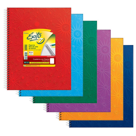 CUADERNO ÉXITO FORRADO 21X27 C/ESP X60 HJS RAY