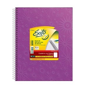 CUADERNO ÉXITO FORRADO 21X27 C/ESP X60 HJS RAY