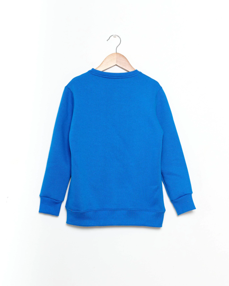 POSTO BUZO JOYSTICK PTS BOYS W25