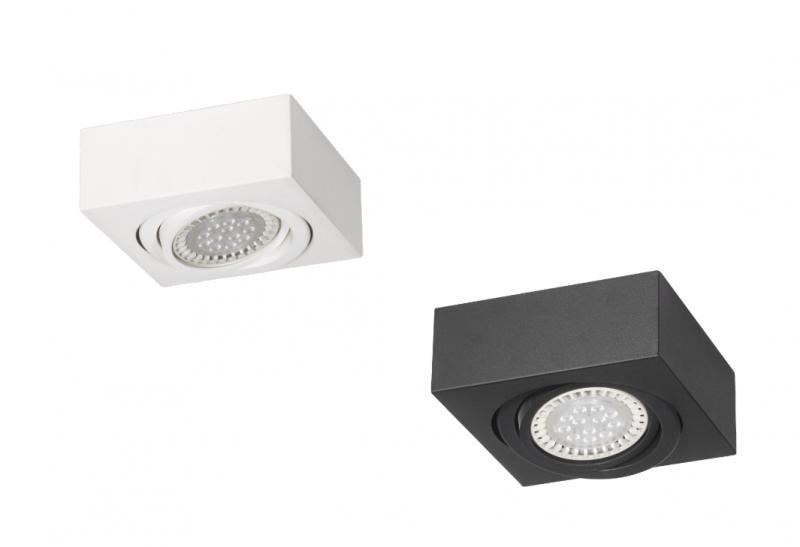 Plafon Aplicar 1 AR111 LED 11W Blanco Negro
