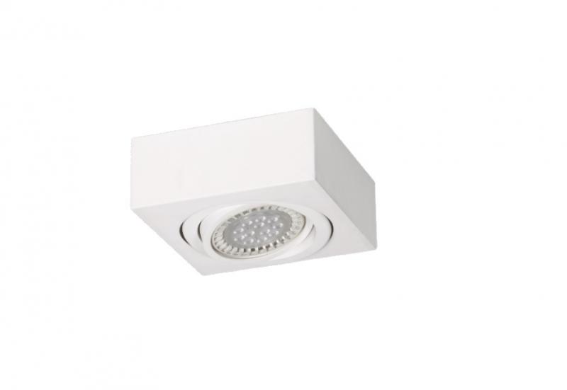 Plafon Aplicar 1 AR111 LED 11W Blanco Negro