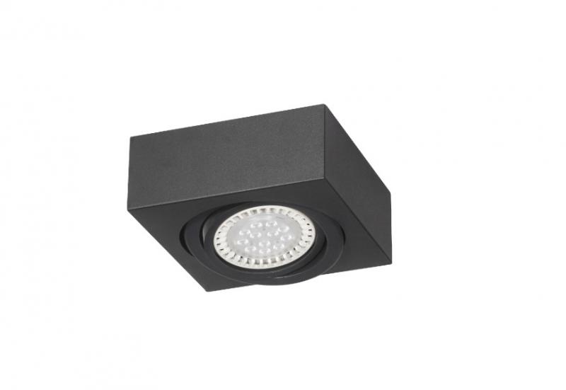 Plafon Aplicar 1 AR111 LED 11W Blanco Negro