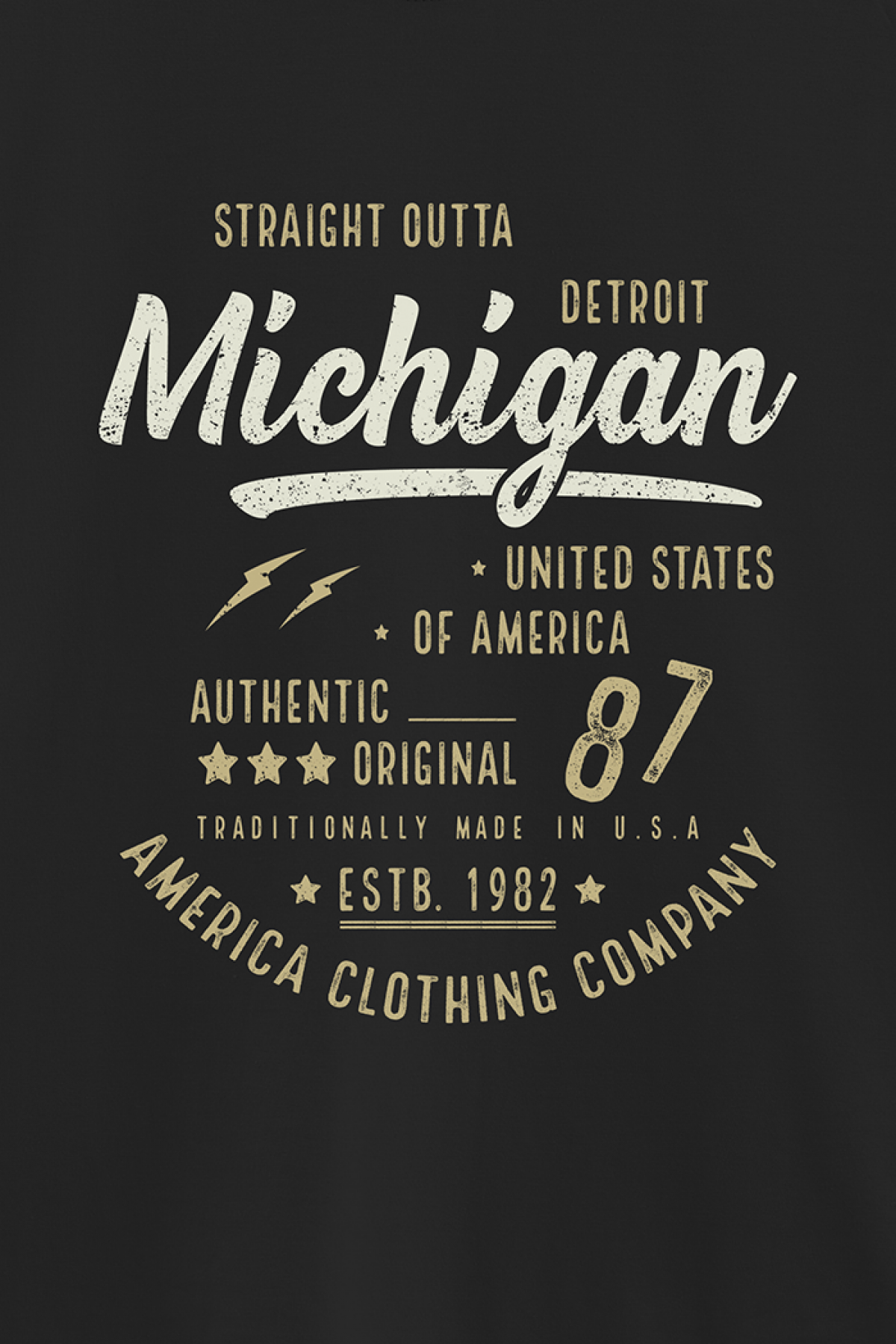REMERA BASICA ESTAMPADA VG MICHIGAN