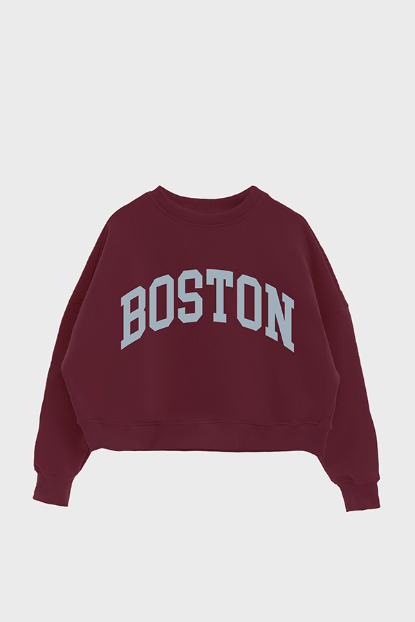 BUZO CROP ESTAMPADO VARSITY BOSTON