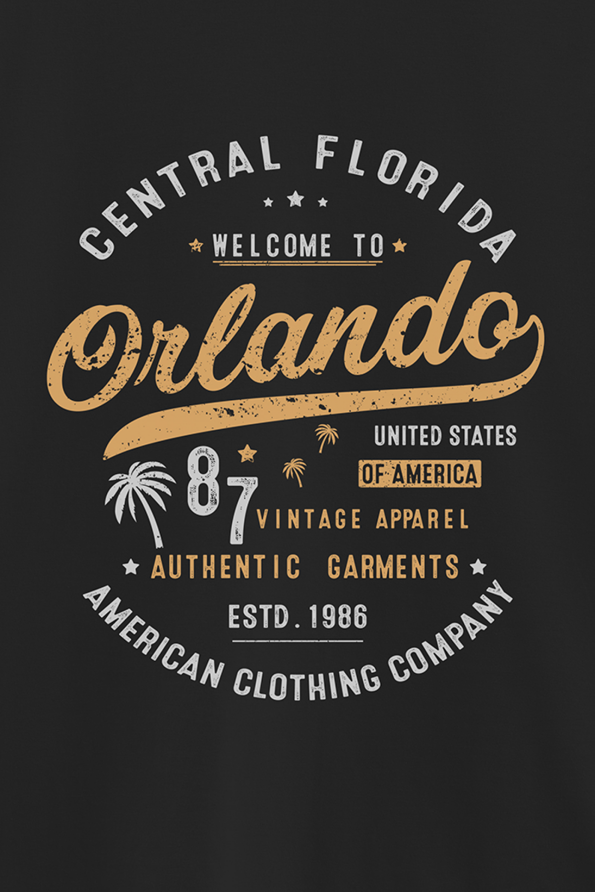 REMERA BASICA ESTAMPADA VG CENTRAL FLORIDA ORLANDO