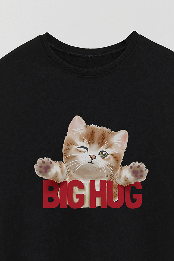 BUZO CREWNECK RUSTICO KITTY DREAMS BIG HUG
