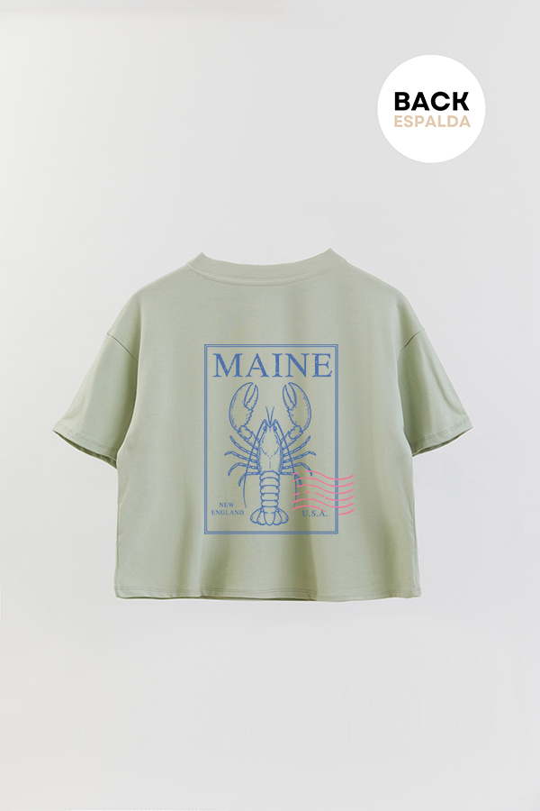 REMERA CROP FB SUMMER STAMP 7