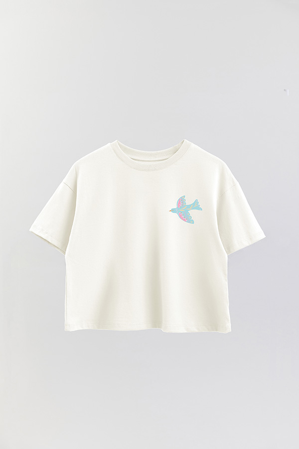 REMERA CROP FB BOHO FOLK P1