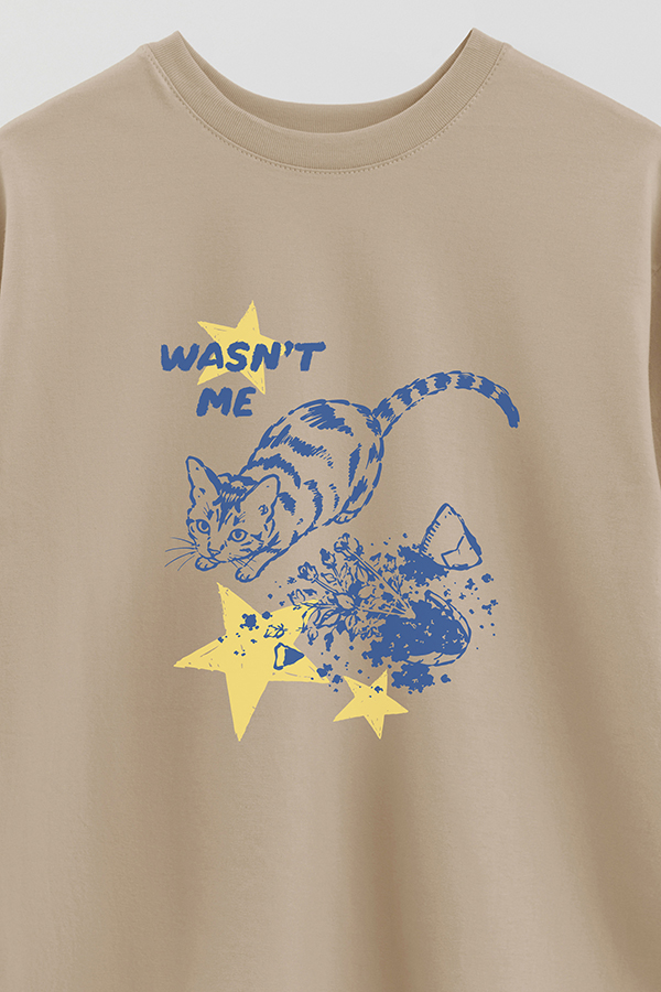 REMERA OVER ESTAMPADA CAT WASNT ME