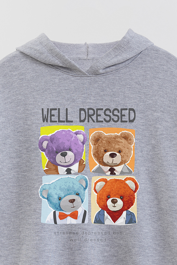 HOODIE RÚSTICO BOY TEDDY WELL DRESSED