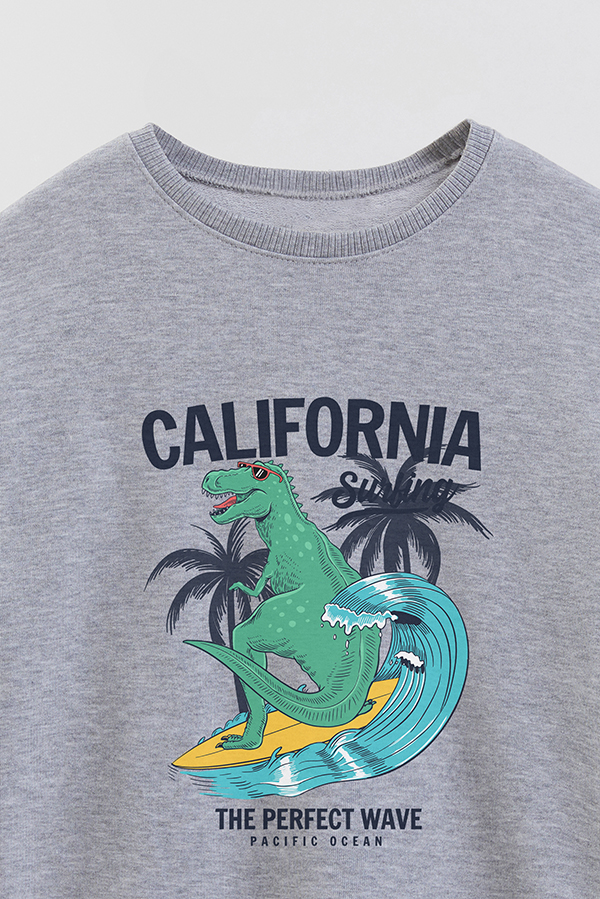 BUZO CREWNECK RUSTICO FUNNY ADVENTURES WAVE