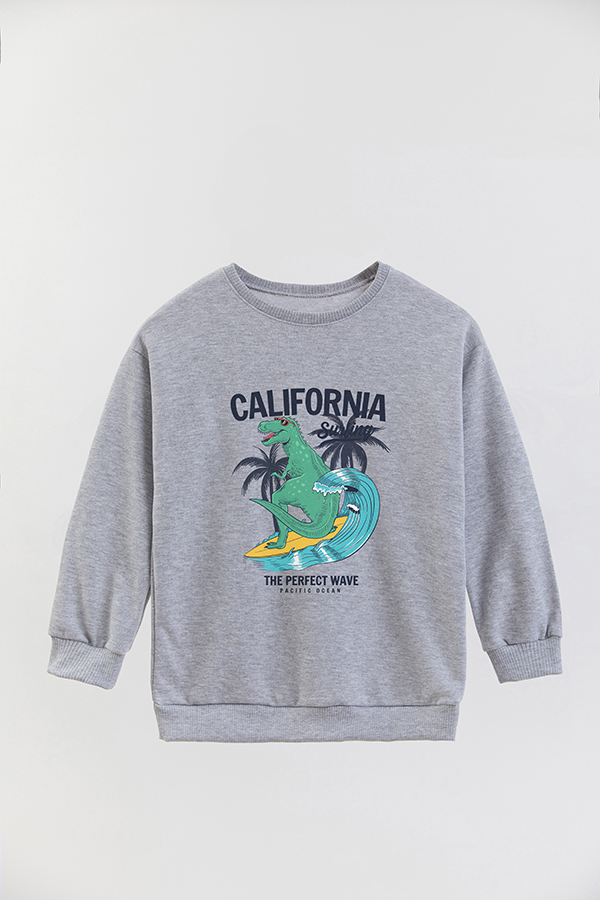 BUZO CREWNECK RUSTICO FUNNY ADVENTURES WAVE