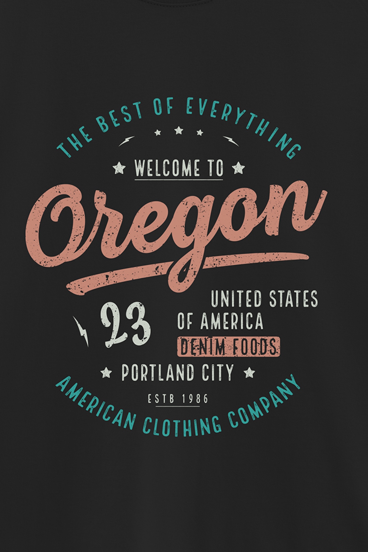 REMERA BASICA ESTAMPADA VG VINTAGE OREGON