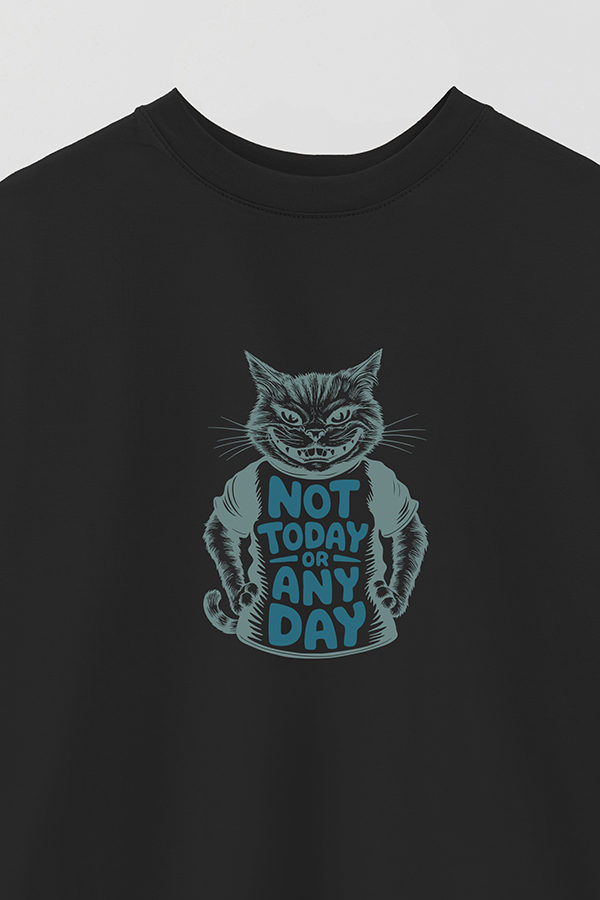REMERA OVER ESTAMPADA CAT NOT TODAY