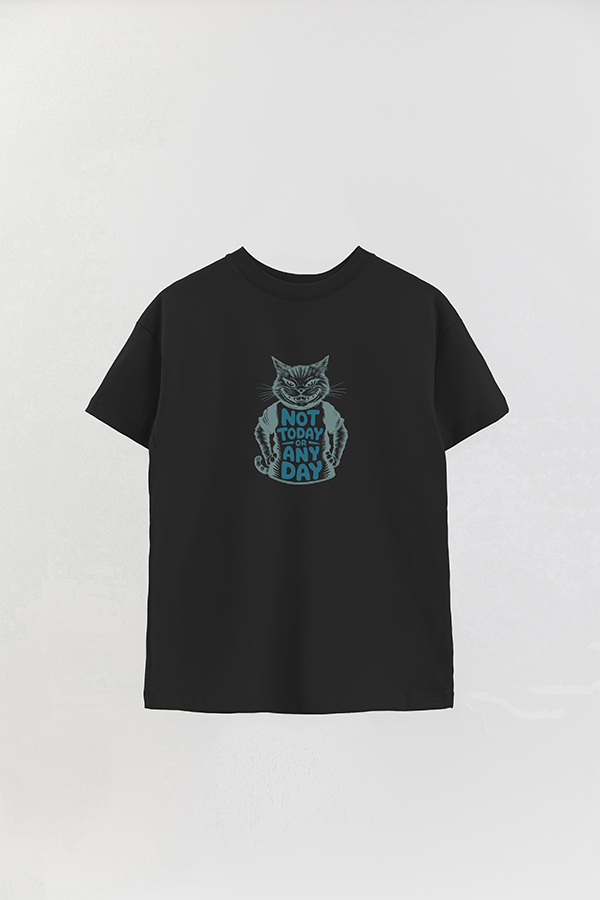 REMERA OVER ESTAMPADA CAT NOT TODAY