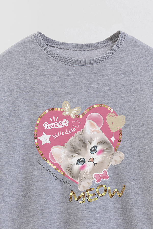 BUZO CREWNECK RUSTICO KITTY DREAMS CUTE