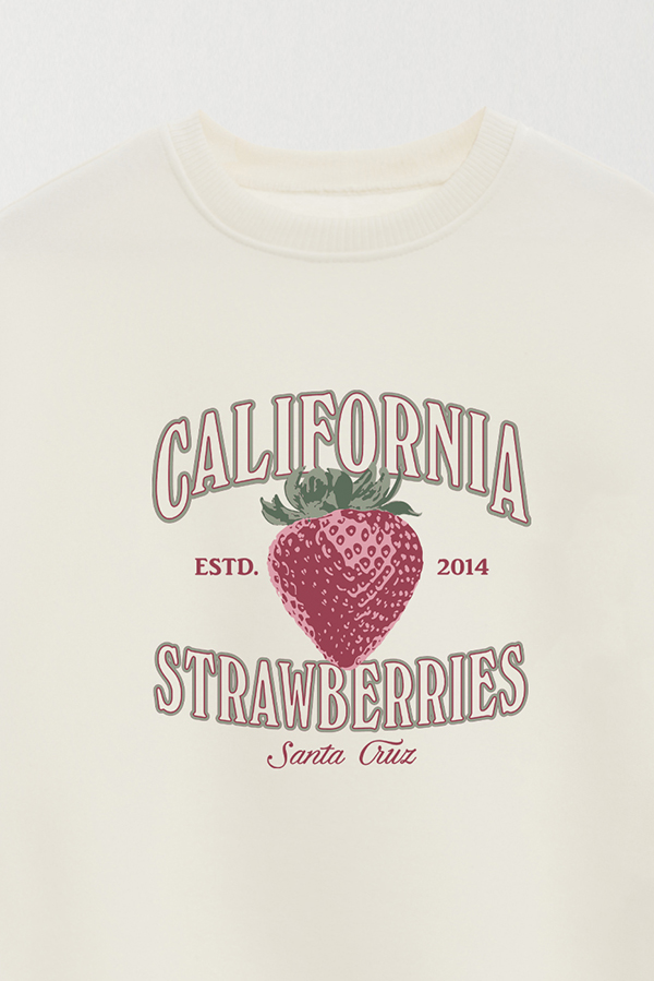BUZO CREWNECK ESTAMPADO WESTERN SANTA CRUZ