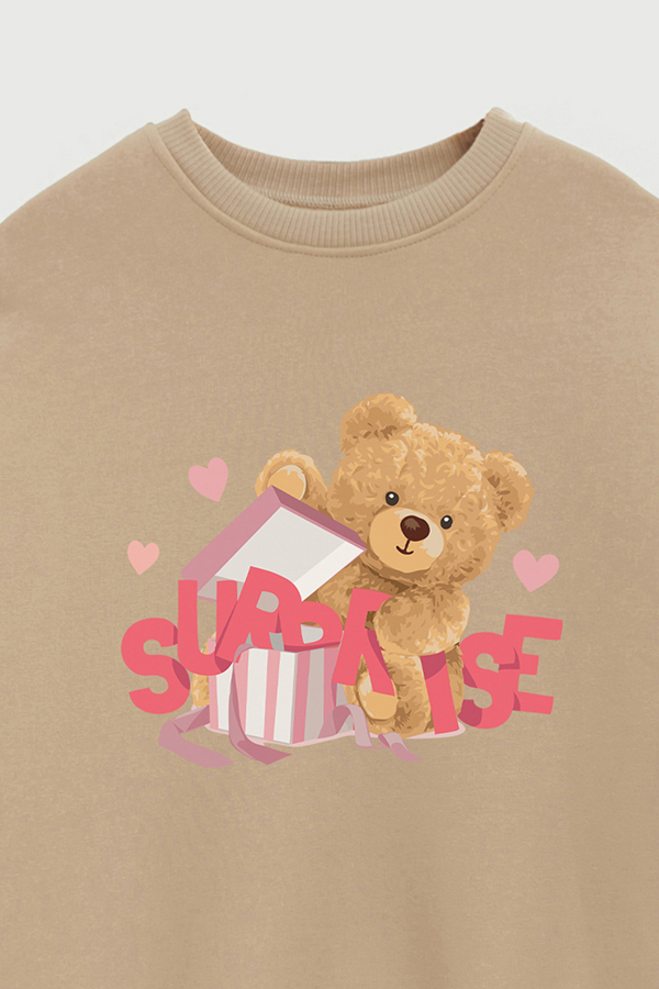 BUZO TEDDY SURPIRSE