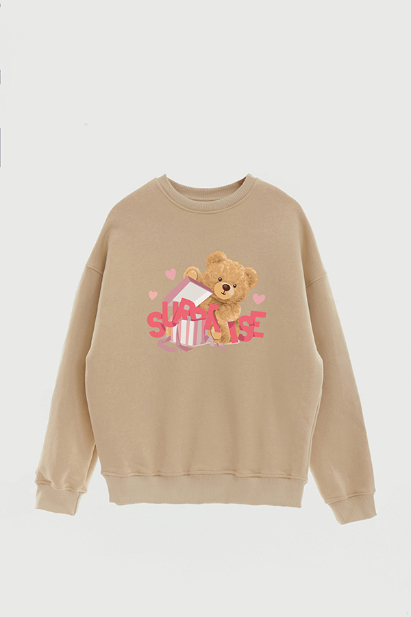 BUZO TEDDY SURPIRSE