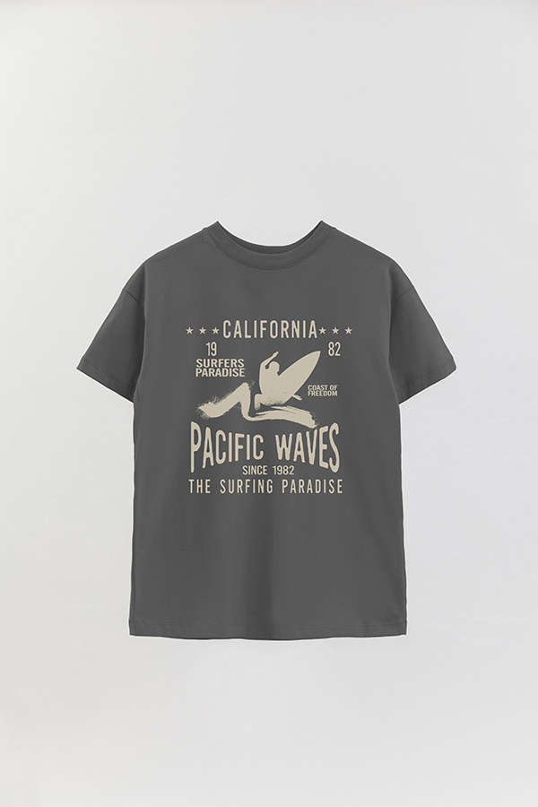 REMERA OVER ESTAMPADA CALIFORNIA PACIFIC WAVES