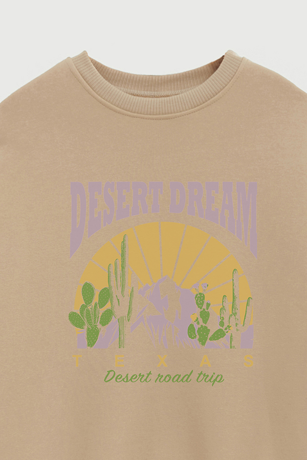 BUZO CREWNECK ESTAMPADO TEXAN DESERT DREAM