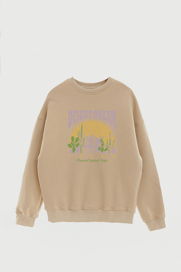 BUZO CREWNECK ESTAMPADO TEXAN DESERT DREAM