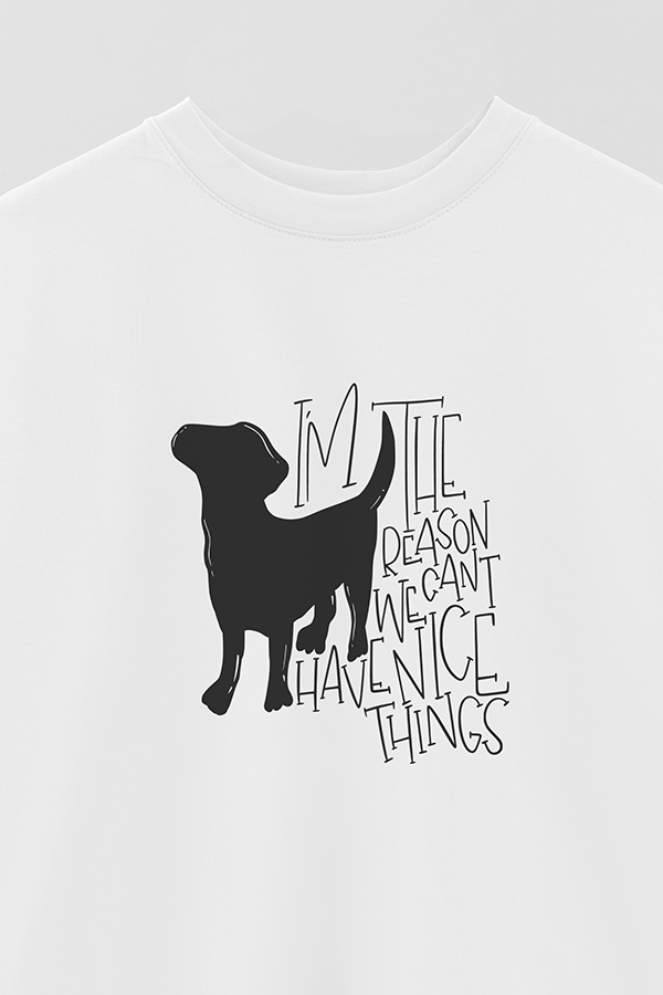 REMERA OVER ESTAMPADA I'M THE REASON WE CAN'T HAVE NICE THINGS