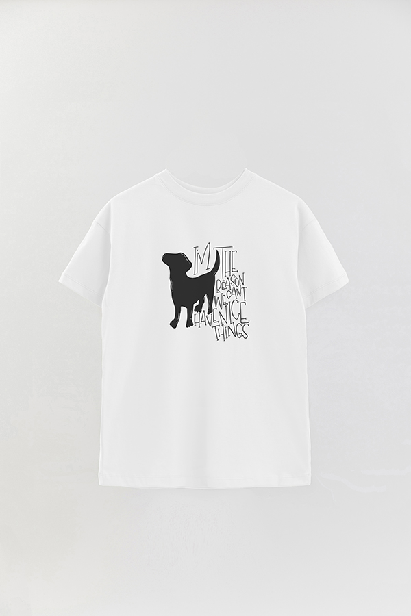 REMERA OVER ESTAMPADA I'M THE REASON WE CAN'T HAVE NICE THINGS