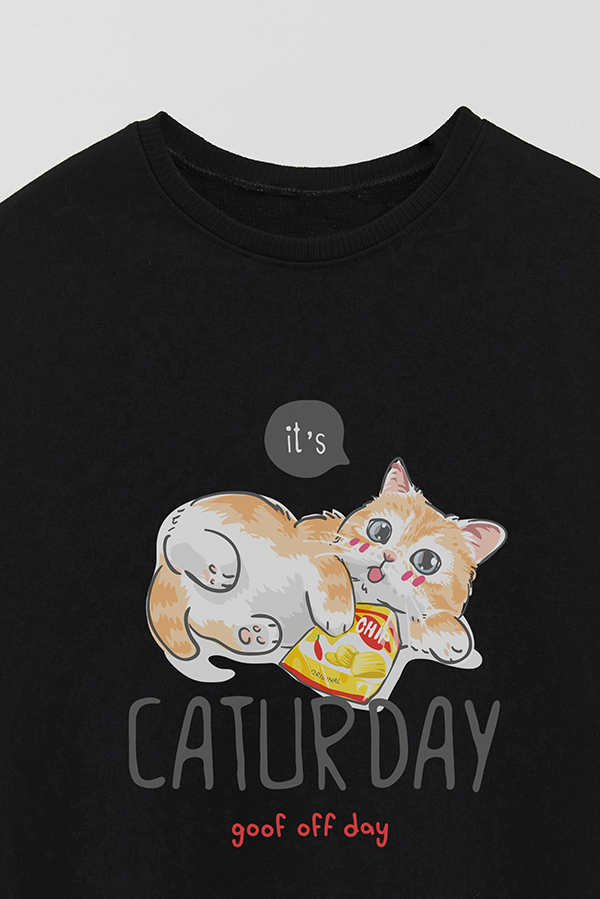 BUZO CREWNECK RUSTICO KITTY DREAMS CHIPS