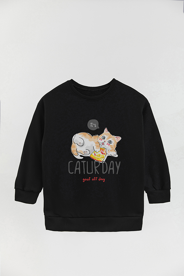 BUZO CREWNECK RUSTICO KITTY DREAMS CHIPS