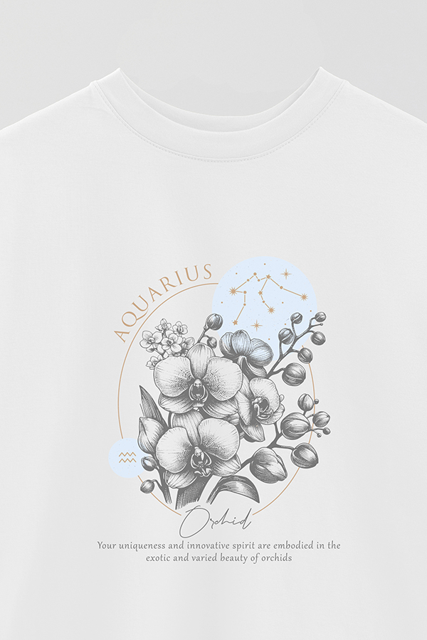 REMERA OVER ESTAMPADA ZODIAC AQUARIUS