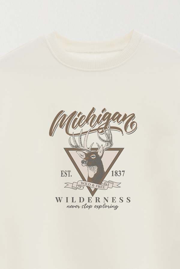 BUZO CREWNECK ESTAMPADO WESTERN MICHIGAN