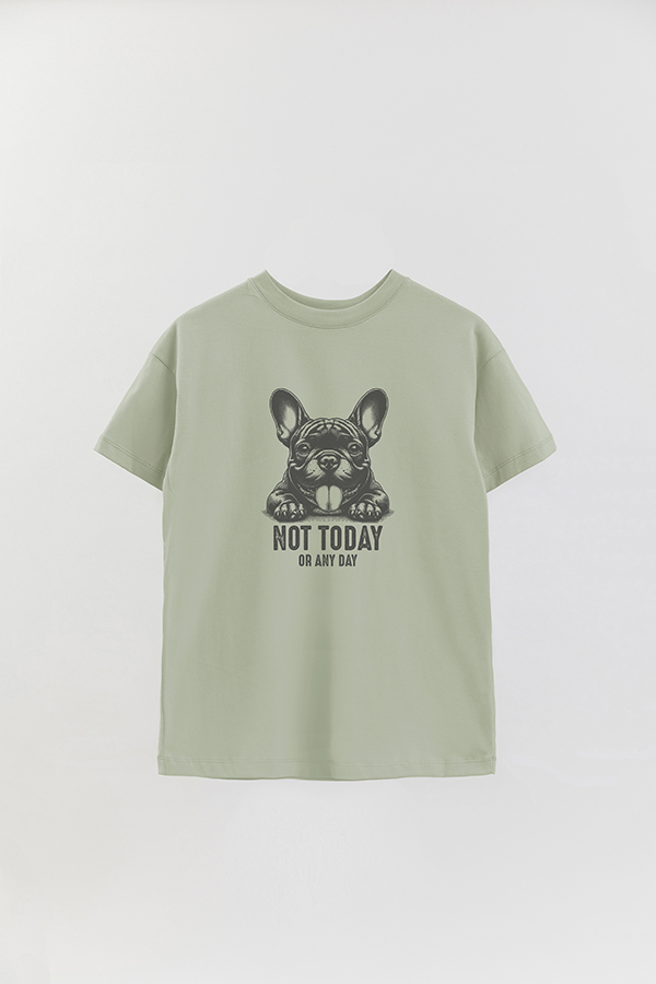 REMERA OVER ESTAMPADA DOG NOT TODAY