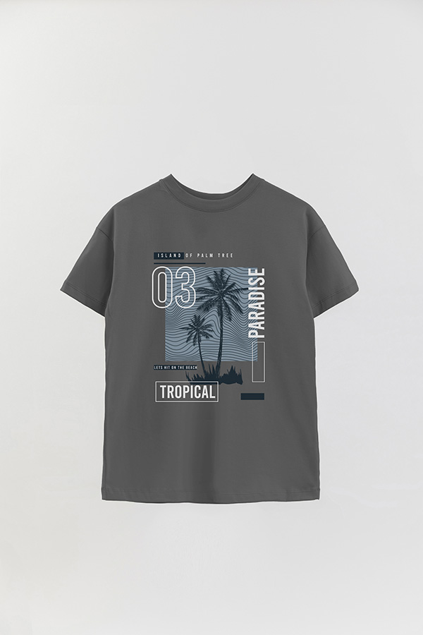 REMERA OVER ESTAMPADA ISLAND