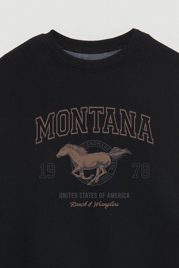 BUZO CREWNECK ESTAMPADO WESTERN MONTANA