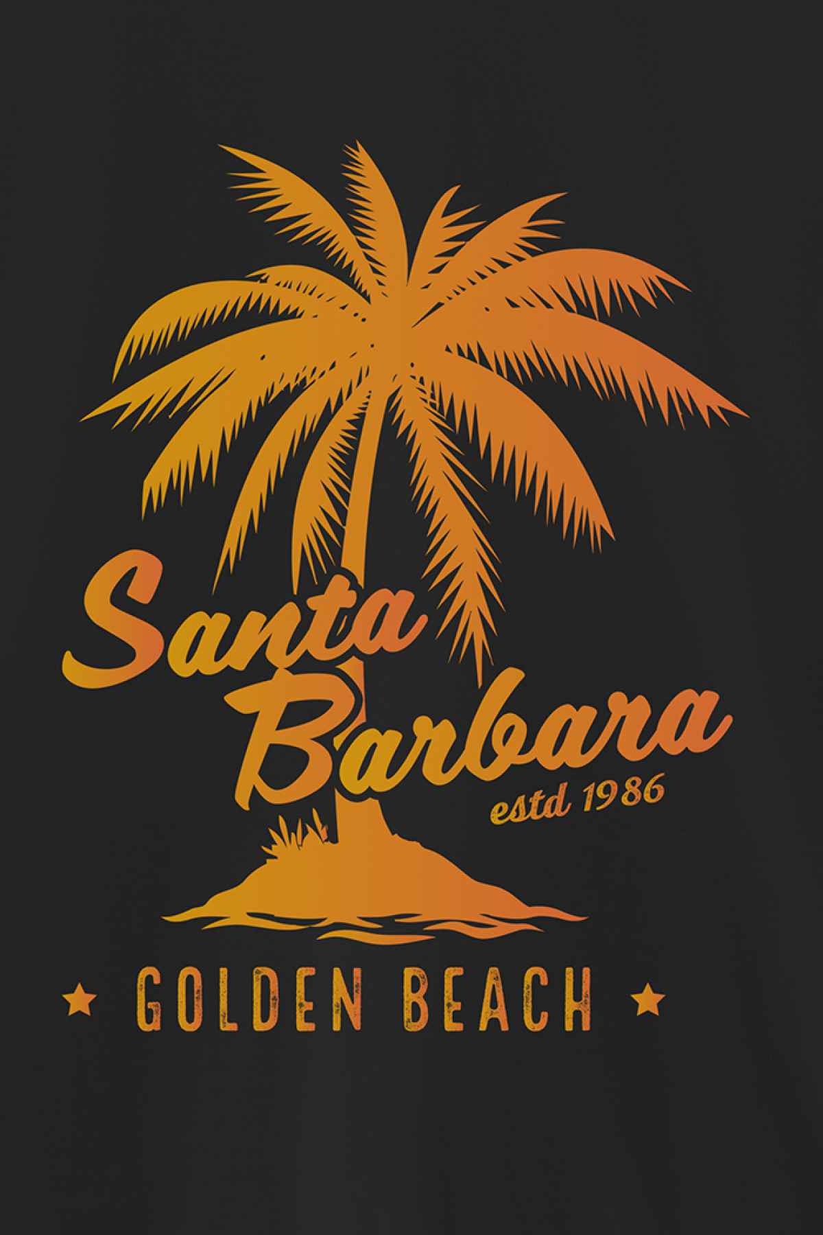 REMERA BASICA ESTAMPADA VG SANTA BARBARA