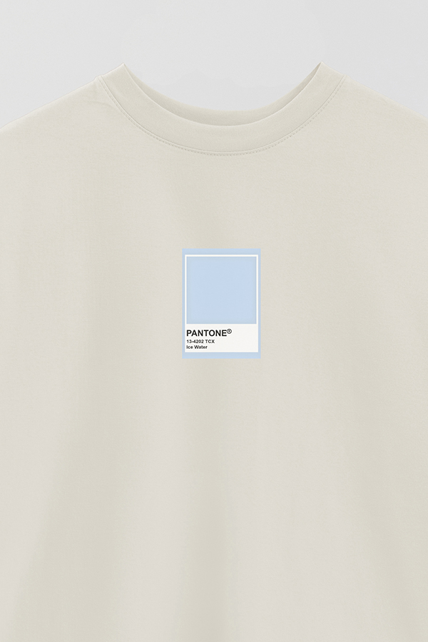 REMERA OVER ESTAMPADA PANTONE ICE WATER