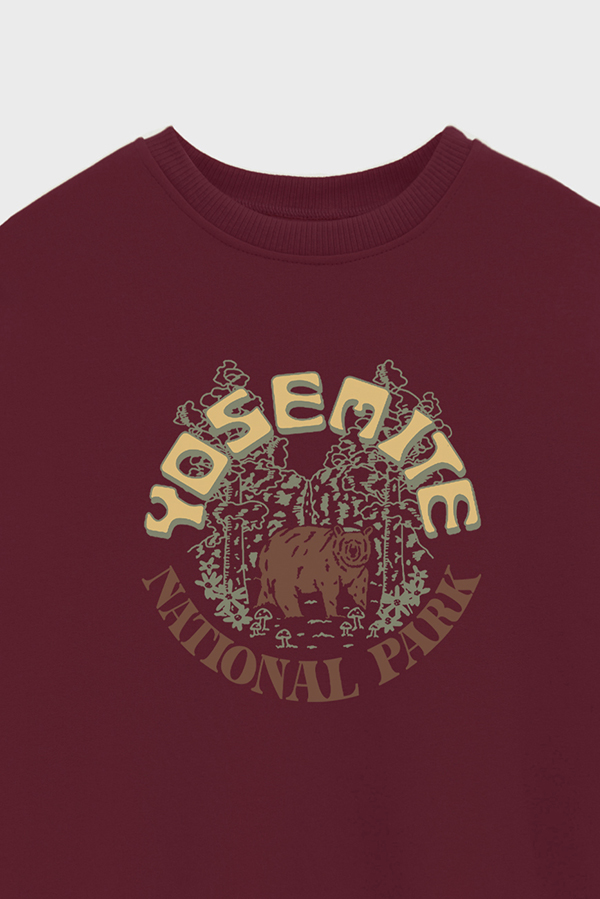 BUZO CREWNECK ESTAMPADO WESTERN NATIONAL PARK