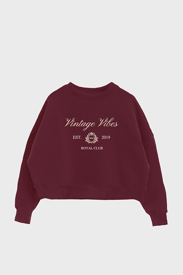 BUZO CROP ESTAMPADO VARSITY VINTAGE VIBES