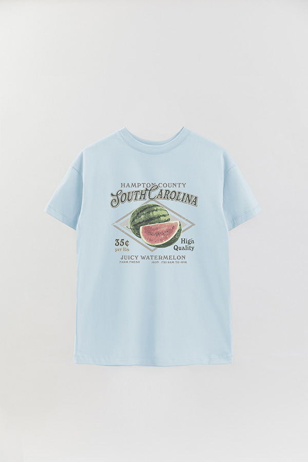 REMERA OVER ESTAMPADA SOUTH CAROLINA